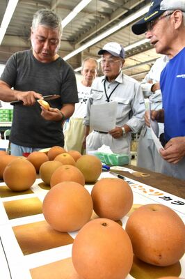 にっこりの出荷規格を確認する生産農家ら
