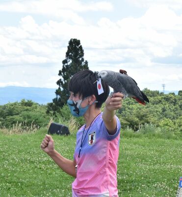 日本代表の勝利を予想したヨウムのオリビア