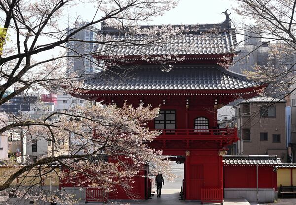 慈光寺の赤門の桜＝８日午後