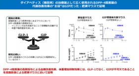 ダイアベティス（糖尿病）治療薬DPP-4阻害薬の“真の主役”はGIPだ…