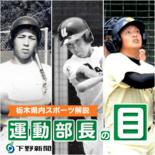 強豪校の黄金期を攻守で牽引　高校野球栃木大会、歴代の名捕手にも注目