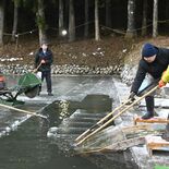 日光の冬の恵み、ことしも品質良く　蔵元「松月氷室」で天然氷の切り出し作業