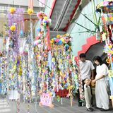 トコトコ大田原に七夕飾り　みんなの願い、天に届け　