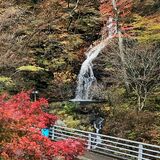 もみじラインで紅葉見頃　白滝周辺鮮やかに彩る【動画】