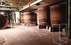 形変えて魅力伝える