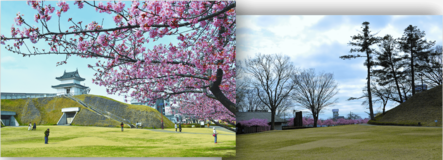 春なのに何となく不調…それって春バテかも？