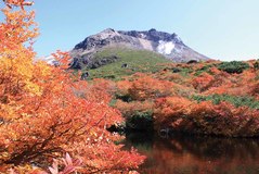 【那須・八溝・那須塩原エリア】今秋おすすめ！絶景紅葉スポット