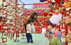 【夕刊】ひな飾りで“春らんまん”