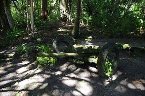 旧日本軍の47ミリ速射砲の残骸。戦後70年たった今も、アンガウル島には戦跡が残る(宇都宮市、篠原直人さん撮影)