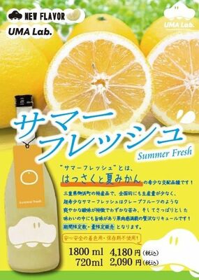 「ＵＭＡ　Ｌａｂ．サマーフレッシュ」のフライヤーデザイン