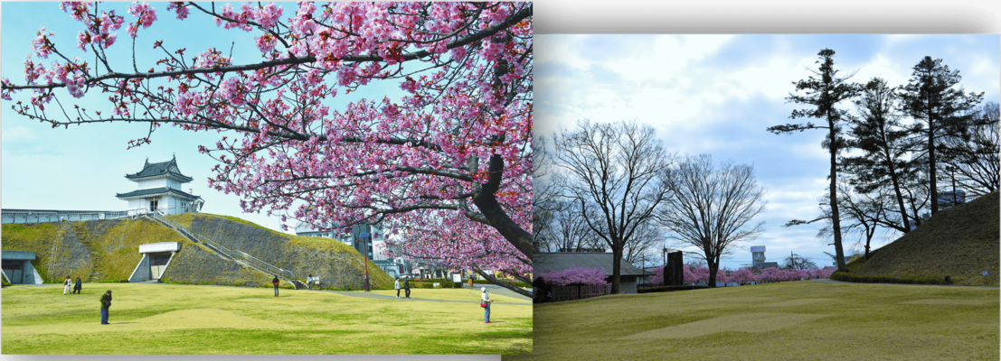 春なのに何となく不調…それって春バテかも?