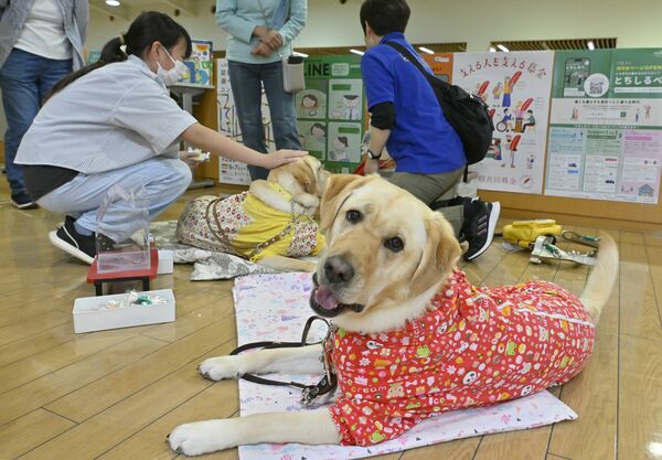 イベント終了後に参加者とふれあう盲導犬たち