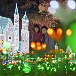 メルヘンの世界出現　無数の光りの花、鮮やかに　グリムの森でイルミネーション開幕　下野