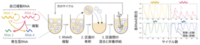 分子の「混ざり方」と「過去の状態」が振る舞いを左右