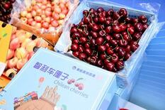 「スイート・エクスプレス」が地球を半周：東方航空物流、チリ産チェリーを…