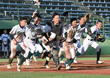 作新、青藍コールドで３回戦へ　高校野球栃木大会第６日