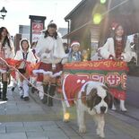 サンタ犬と一緒に、蔵の街をパレード　栃木でクリスマスフェス