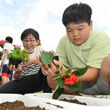 思いやりの心、育てよう　「人権の花」贈呈式　鹿沼・みどりが丘小