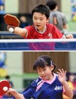 卓桜会の原澤と五十畑、日本代表の座つかむ　上位通過で東アジアへ