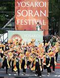 ＹＯＳＡＫＯＩ祭り開幕、札幌