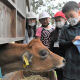 新入生は子牛の「ジャスミン」　那須・学びの森小