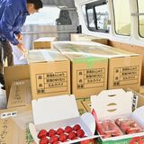 新幹線で運ぶよ！完熟イチゴ　お菓子の城那須ハートランドが出荷　東京駅などで販売