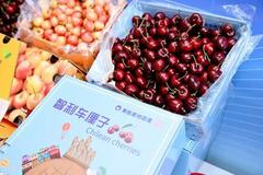 「スイート・エクスプレス」が地球を半周:東方航空物流、チリ産チェリーを過去最短の24時間でチャーター輸送