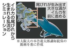 イルカ、大きな渦の力で前に進め