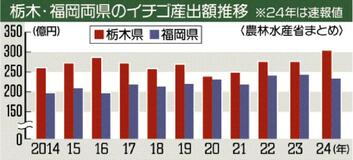 イチゴ ３０年連続日本一