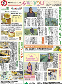 2020年11月18日(水)掲載面