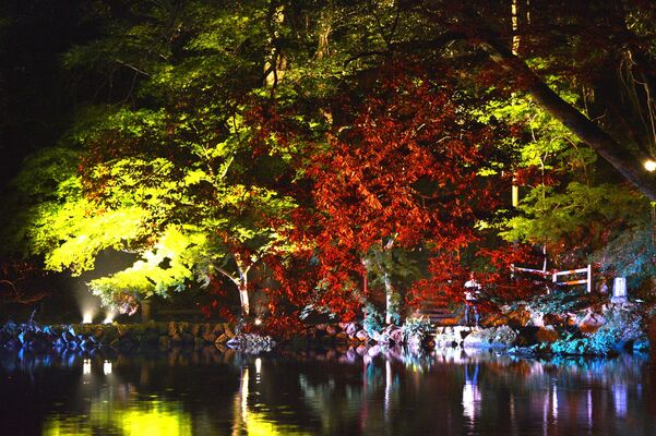 色鮮やかに彩られている出流原弁天池周辺