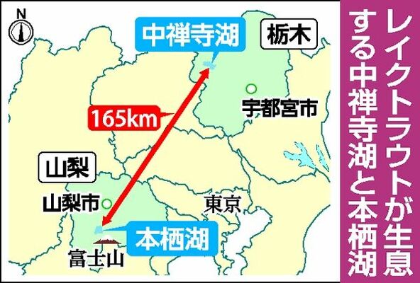 レイクトラウトが生息する中禅寺湖と本栖湖