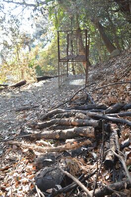 火災で焦げた丸太などが残る大岩山毘沙門天近くの火災現場＝10日午前、足利市大岩町