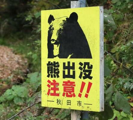 クマへの注意を呼びかける看板=11月、秋田市