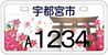ご当地ナンバーの候補デザイン案