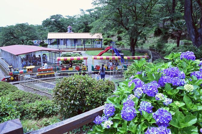 千手山公園の園内
