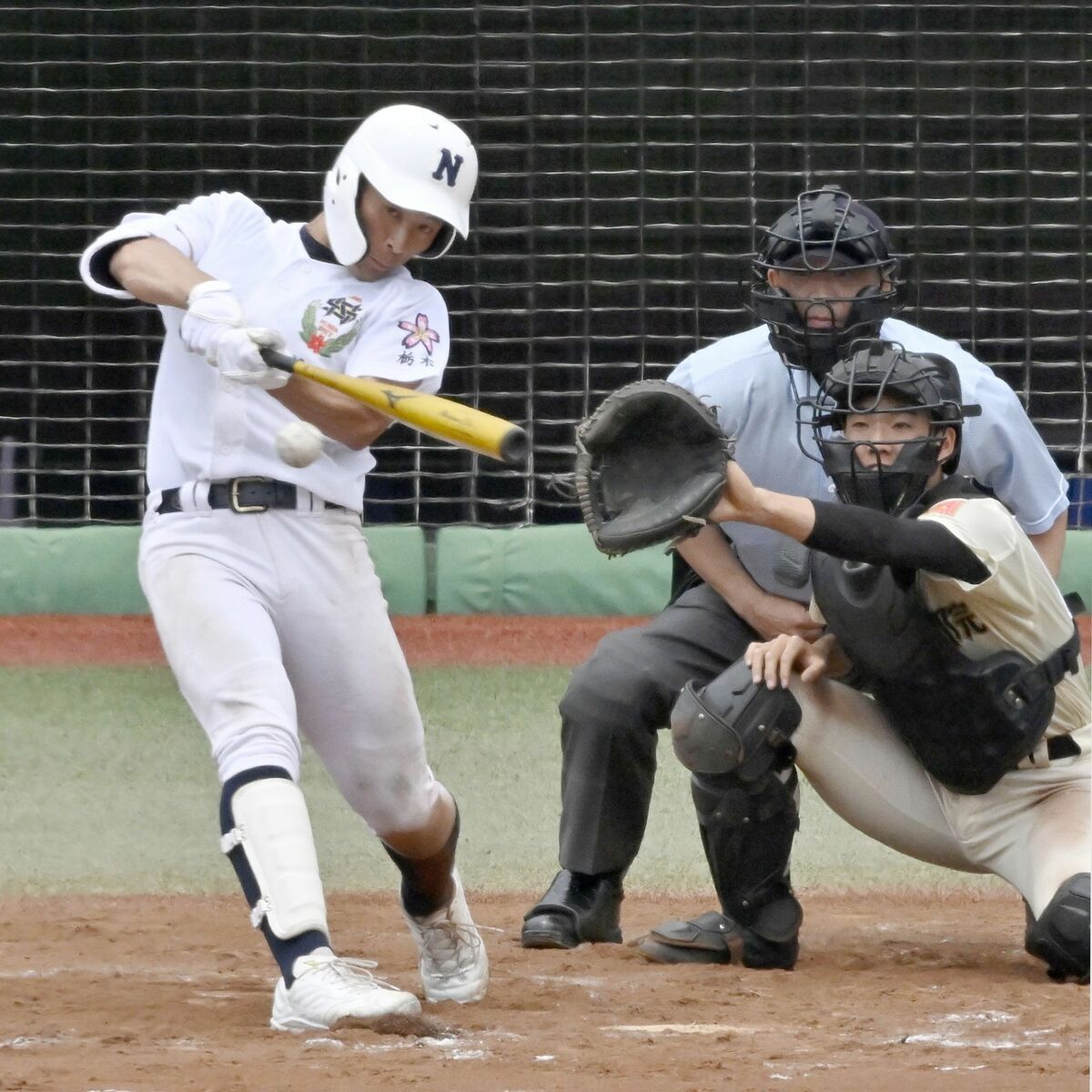 佐野日大、5点差一気 嵐の逆転劇 4年ぶり7度目の優勝 春季栃木県