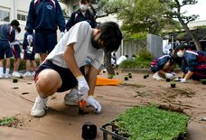 クラピアで美しい中庭に　地元企業と生徒ら力を合わせて　小山・豊田中
