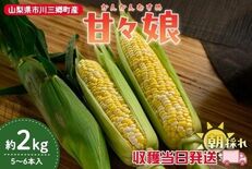 山梨県産とうもろこし「甘々娘」を産地直送通販サイト「ＪＡタウン」で予約…