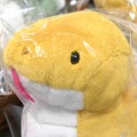 「ヘビなんて、キライ！」...だけど立案しました　栃木県立博物館で企画…