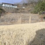 所有者に3587万円の賠償命令　2015年関東・東北豪雨時に発生の土砂…