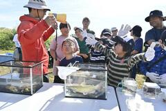 在来魚の保護 活動学ぶ