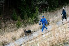 山中に靴、不明男児の物か