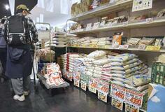 コメ価格見通し、大幅に上昇