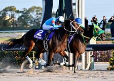 ダブルハートボンドが優勝