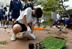 クラピアで美しい中庭に　地元企業と生徒ら力を合わせて　小山・豊田中