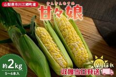 山梨県産とうもろこし「甘々娘」を産地直送通販サイト「ＪＡタウン」で予約販売中！