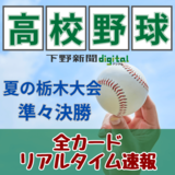 4強懸けて栃木県立3校が私立強豪に挑む、文星付と白鴎足利は3カ月ぶり再戦　高校野球…
