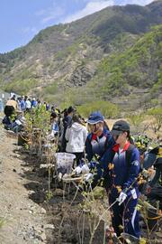 原風景へ着実に
