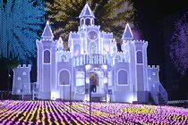 あしかがフラワーパークのイルミネーション